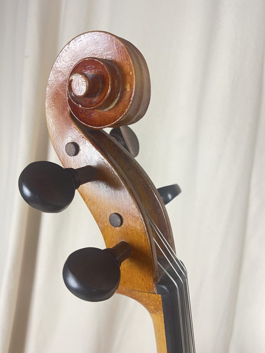 Cello s-1873 scroll new