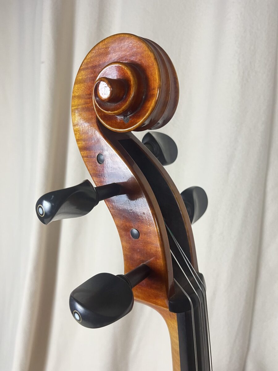 Cello s-2630 scroll