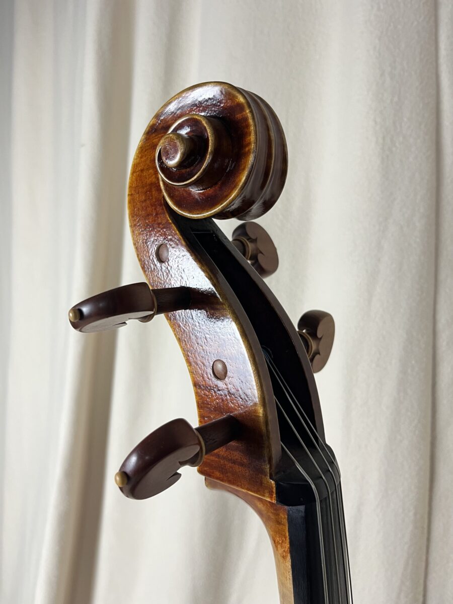 Cello s-3007 scroll new