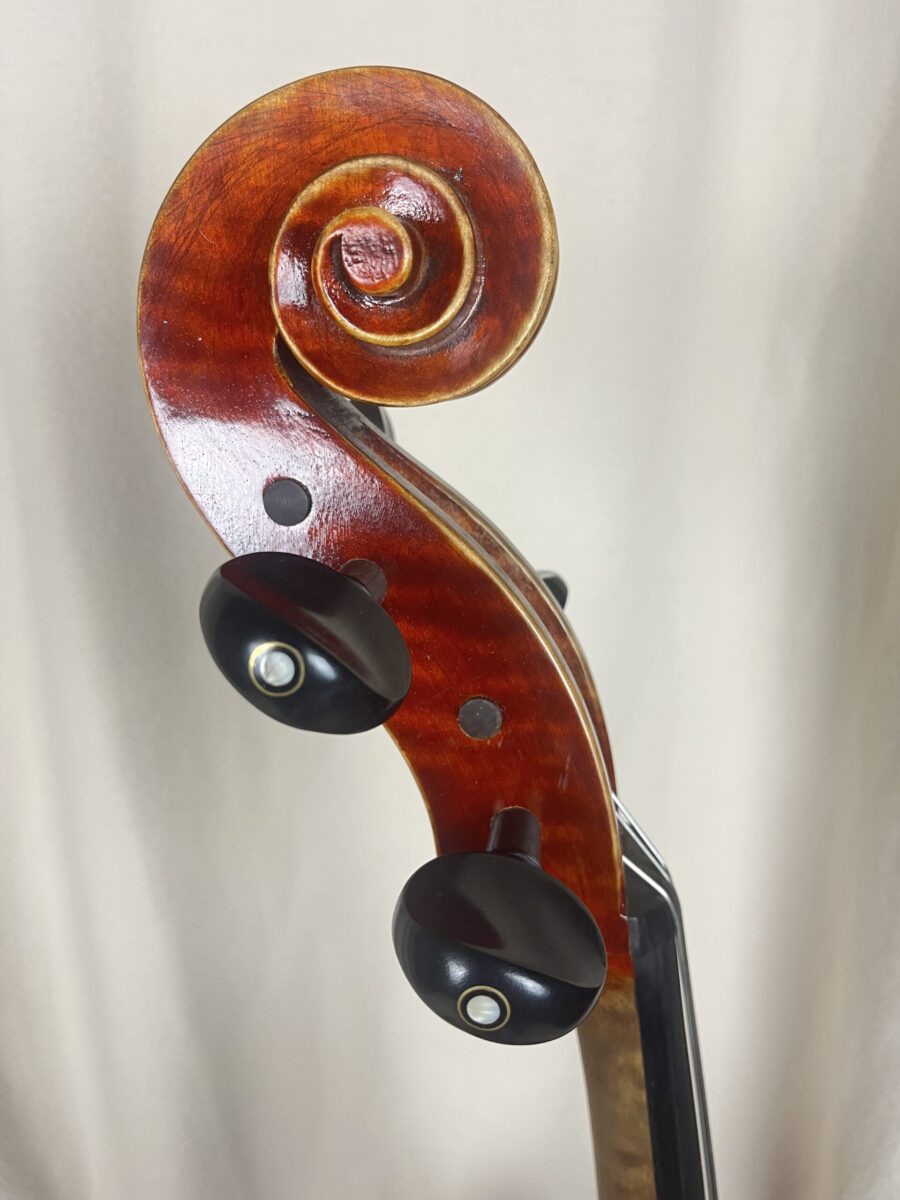 Cello s-3065 scroll new