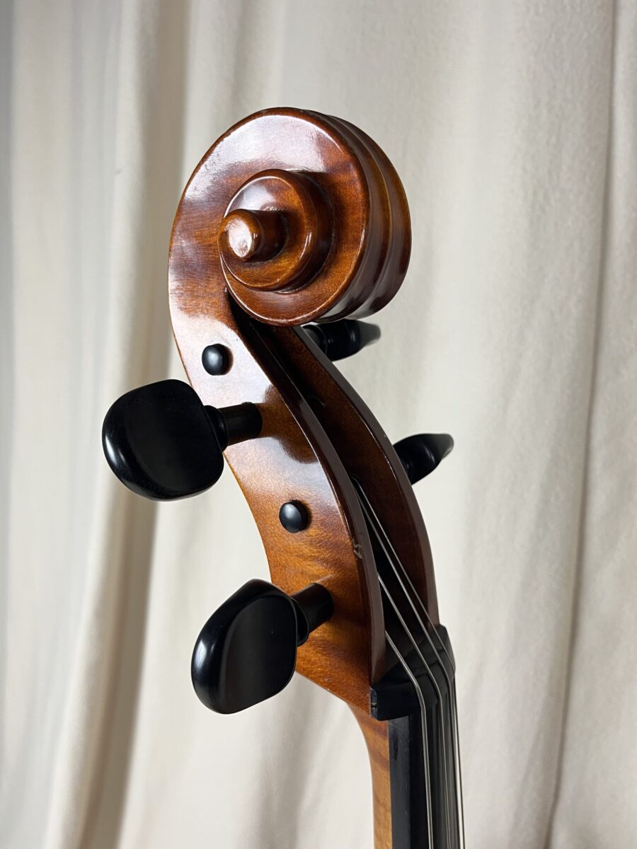 Cello s-3937 scroll