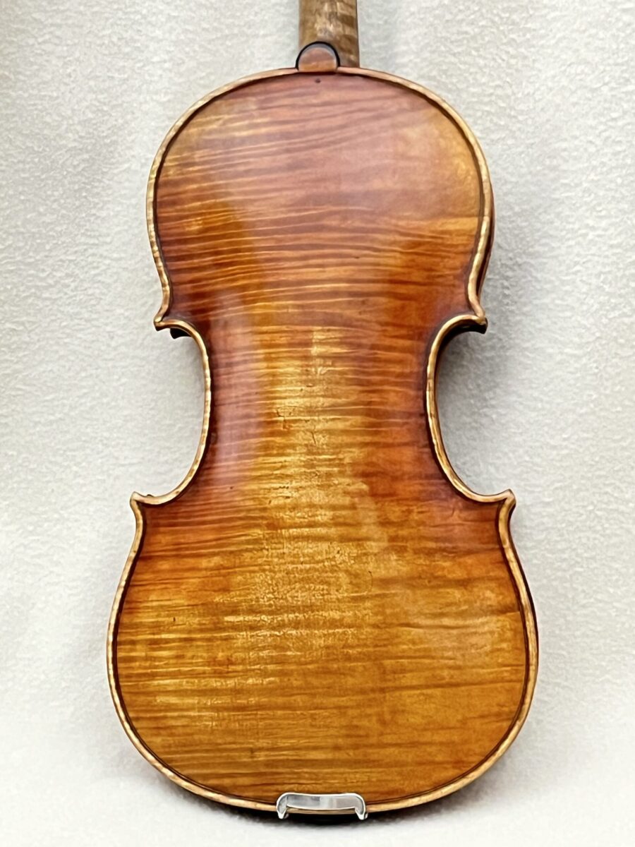 Viola s-2610 back