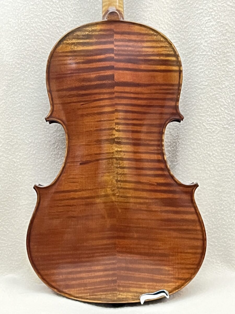 Viola s-2715 back