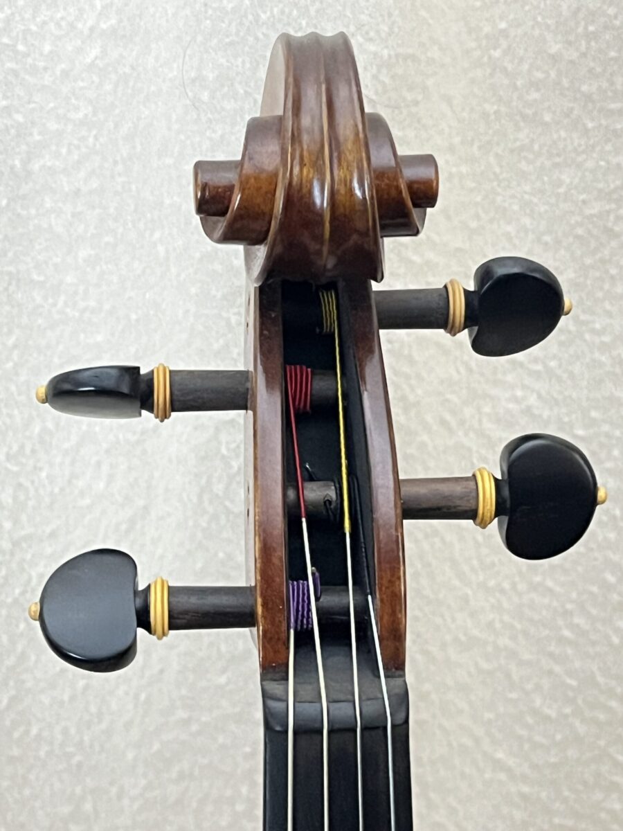 Viola s-2715 scroll