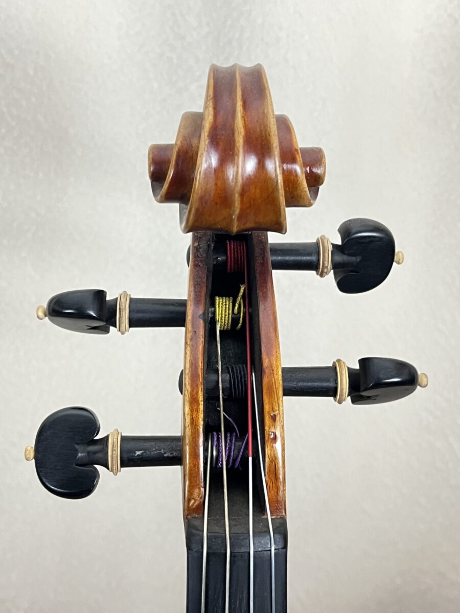 Viola s-2854 scroll