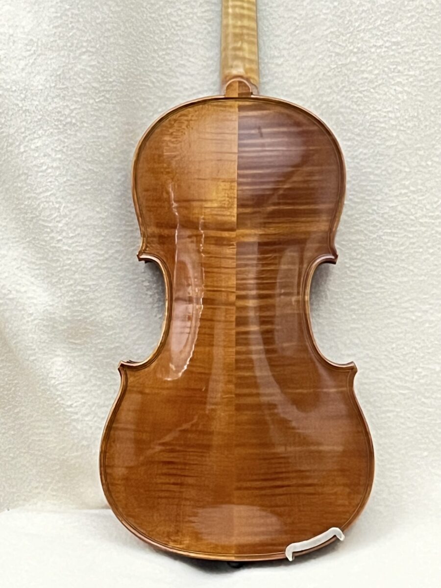 Viola s-3151 back