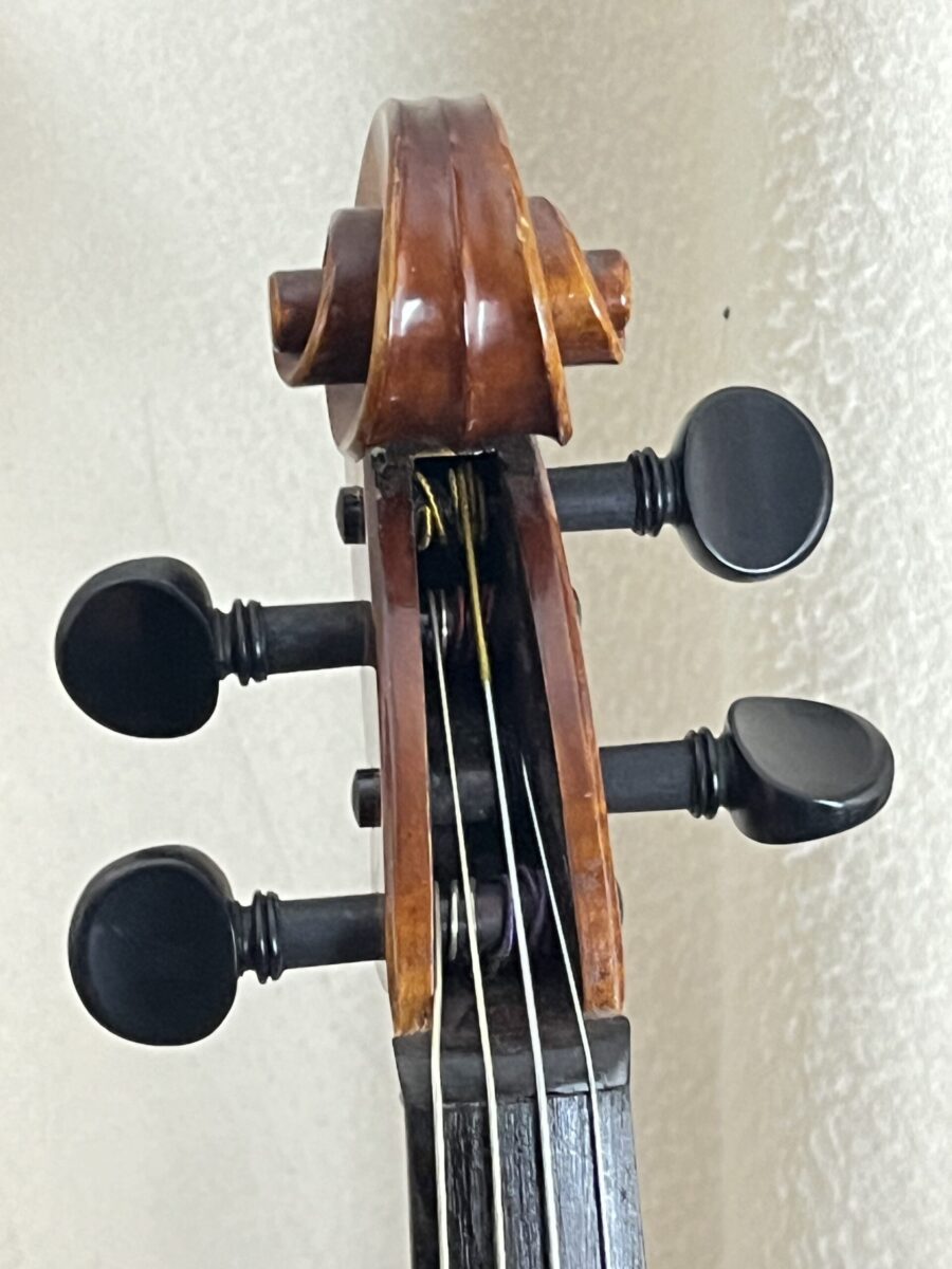 Viola s-3151 scroll