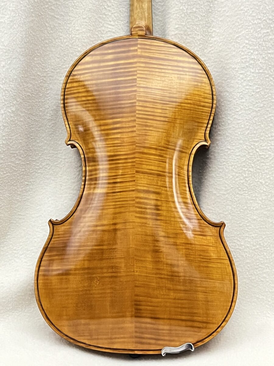 Viola s-3614 back