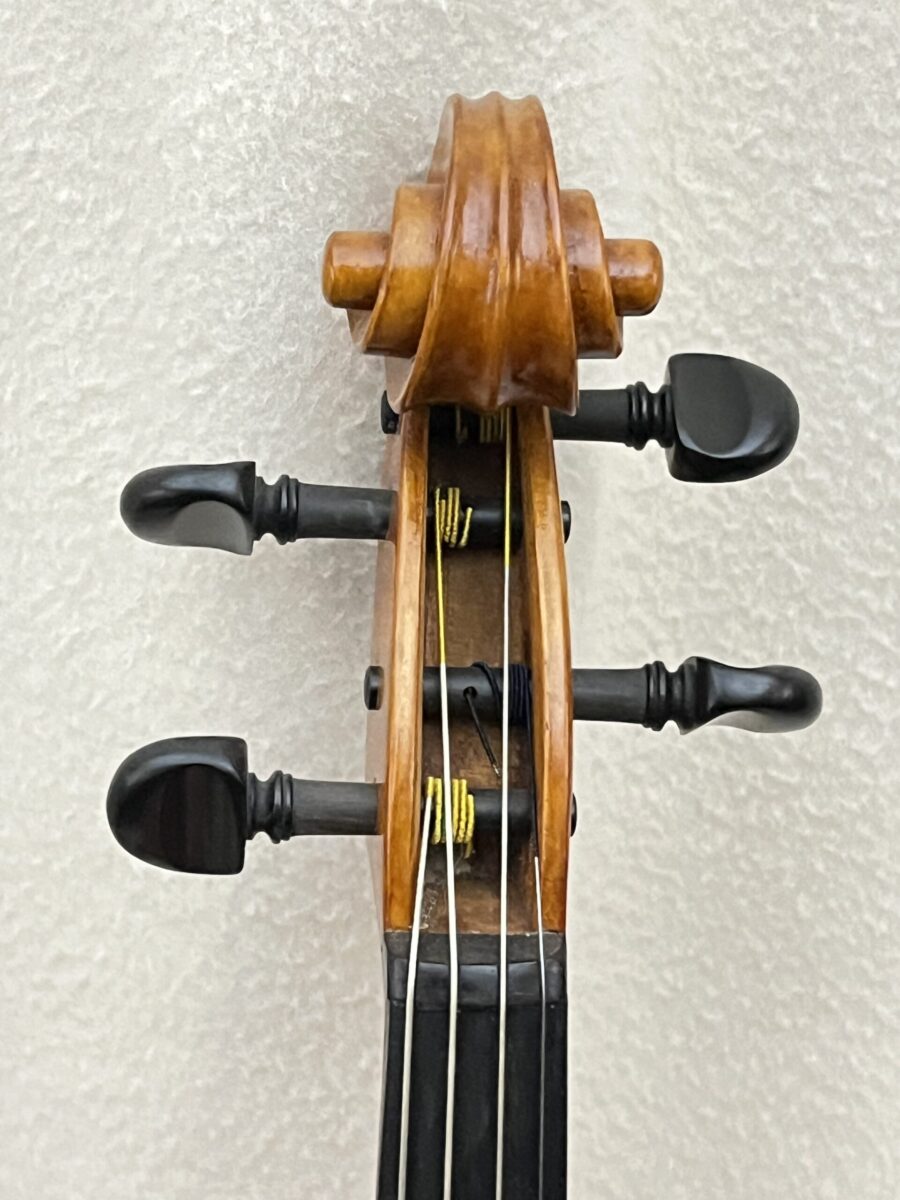 Viola s-3614 scroll