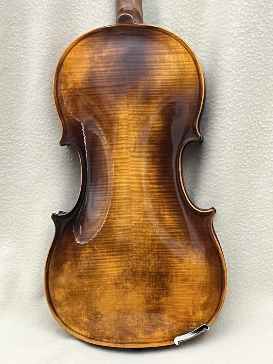 Viola s-3886 back