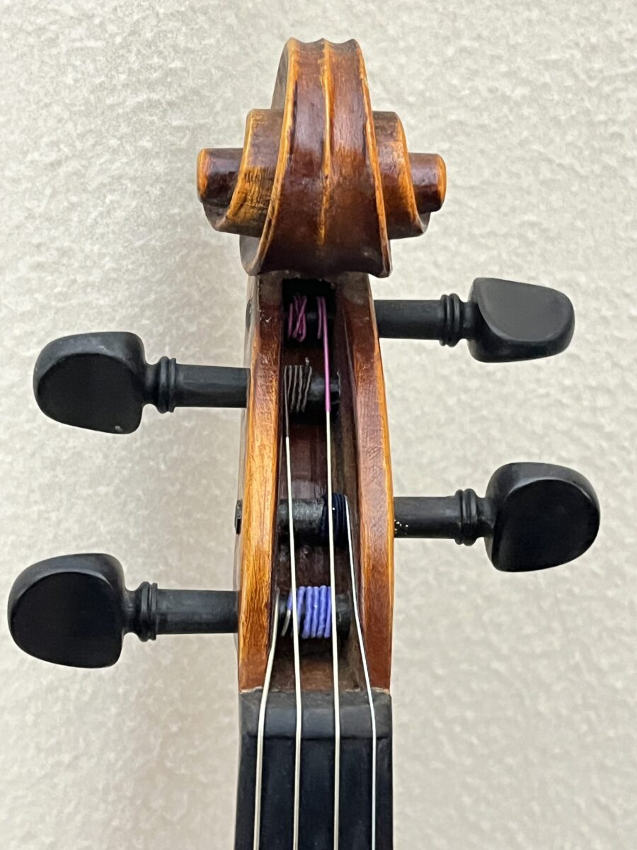 Viola s-3886 scroll