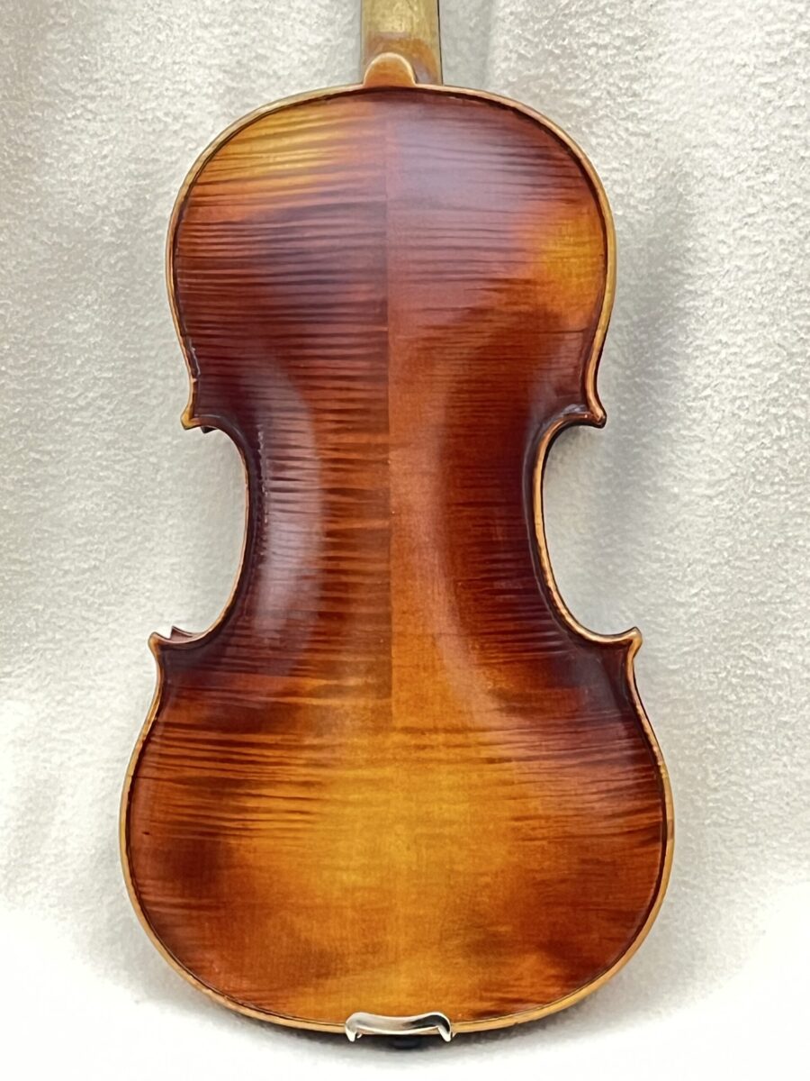 Viola s-4102 back