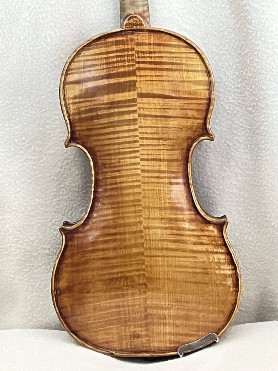 Violin s-2184 back