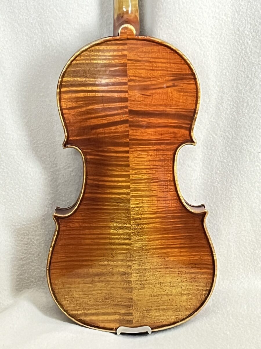 Violin s-2641 back