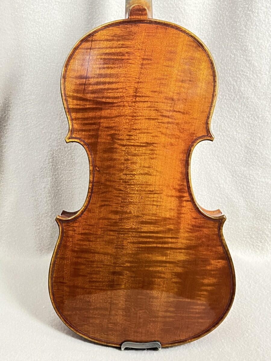 Violin s-3364 back