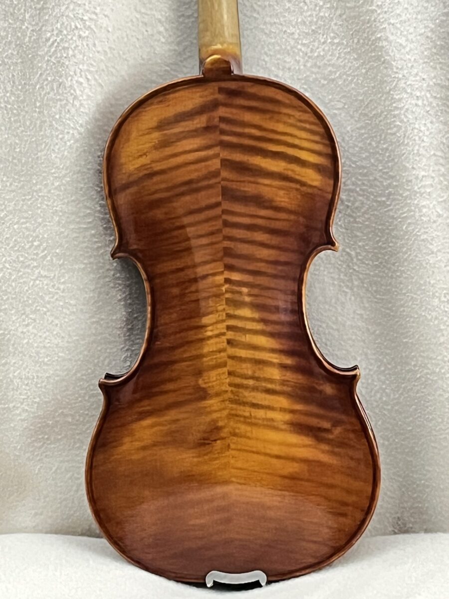 Violin s-3538 back