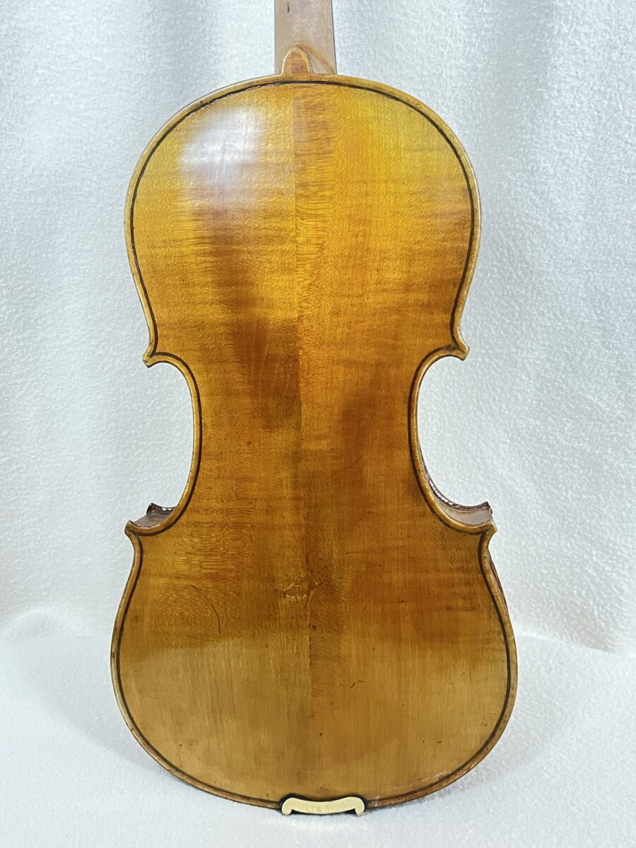 Violin s-3860 back