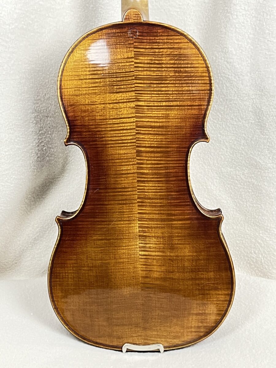 Violin s-4062 back