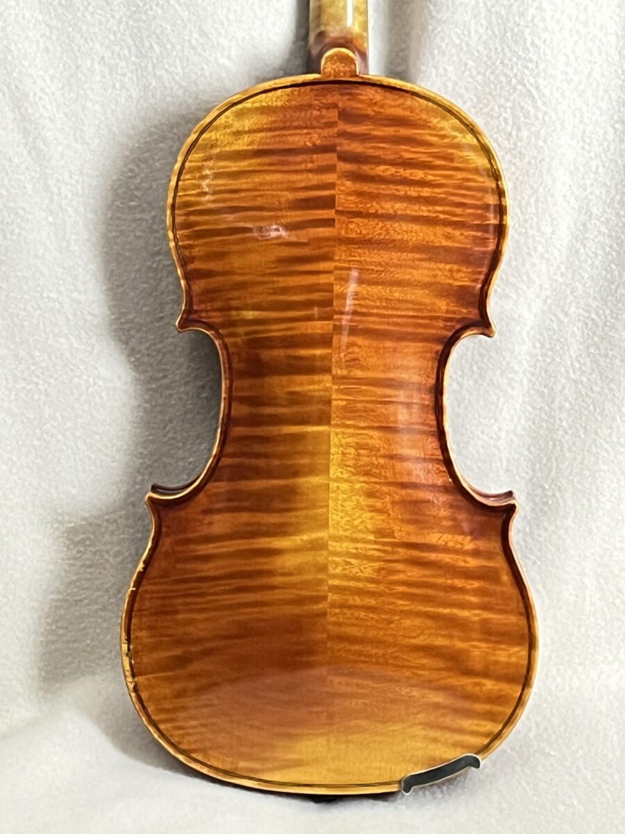 Violin s-4064 back