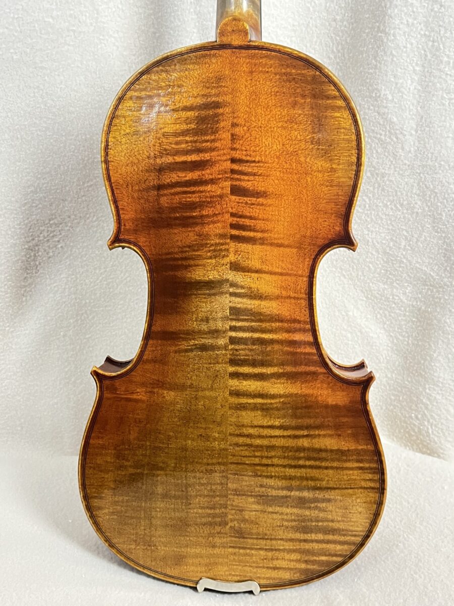 Violin s-4116 back