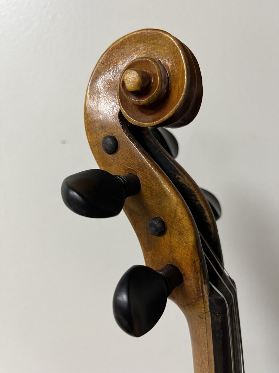 Violin s-3560 scroll