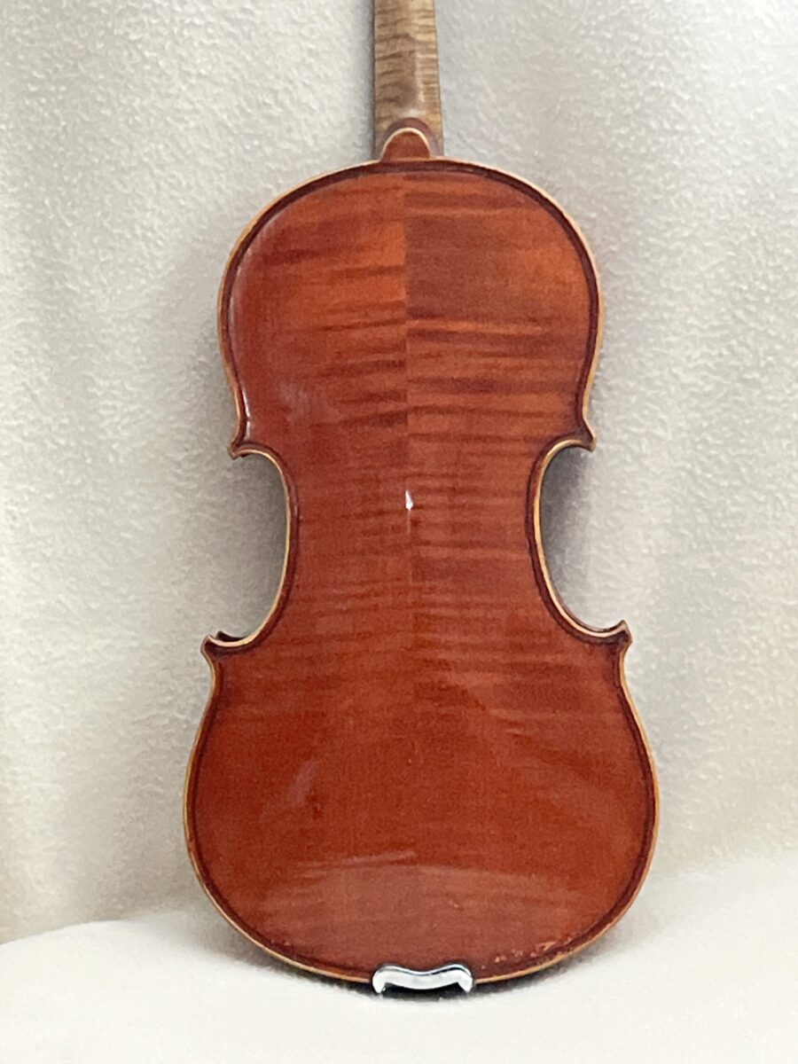 Violin s-3991 back