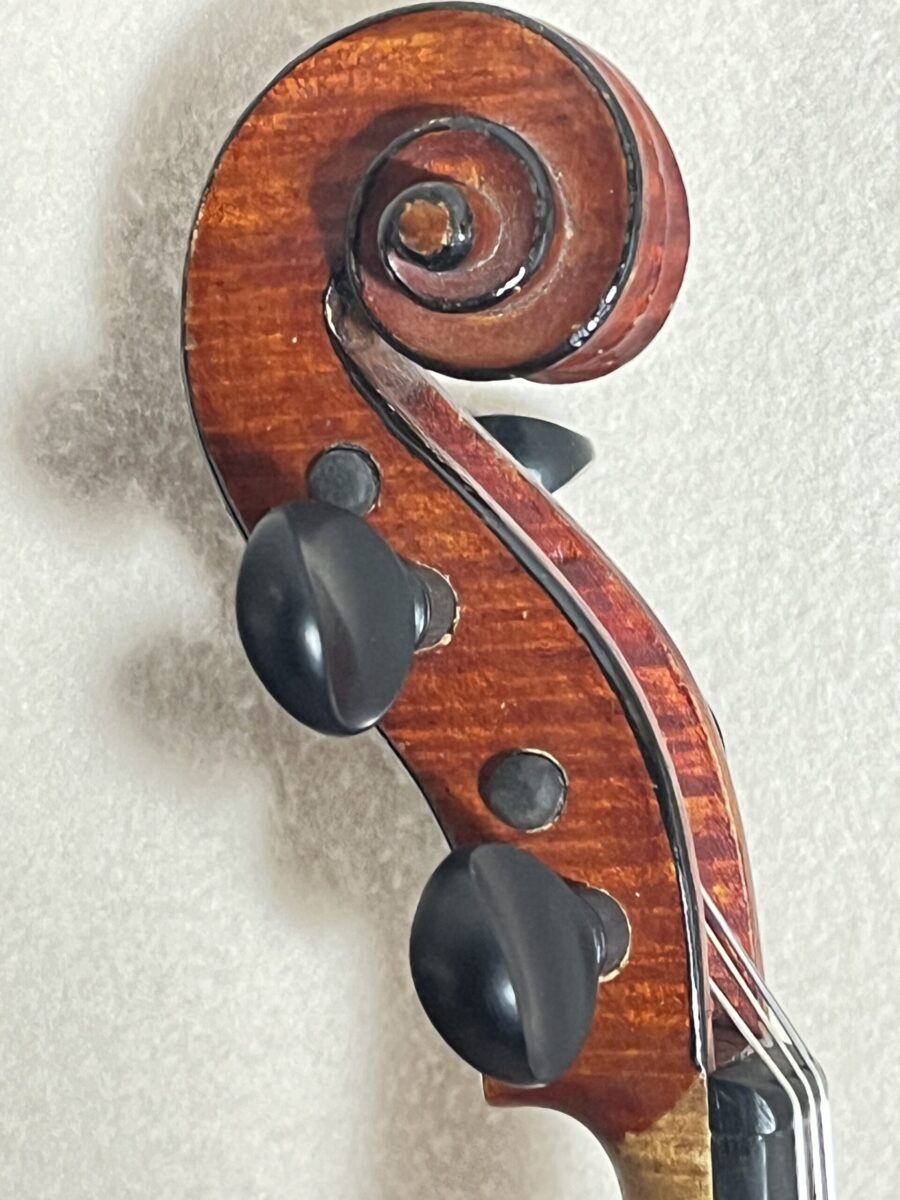 Violin s-3991 scroll