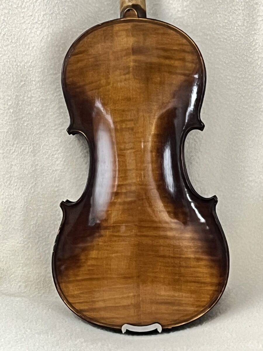 Violin s-4065 back