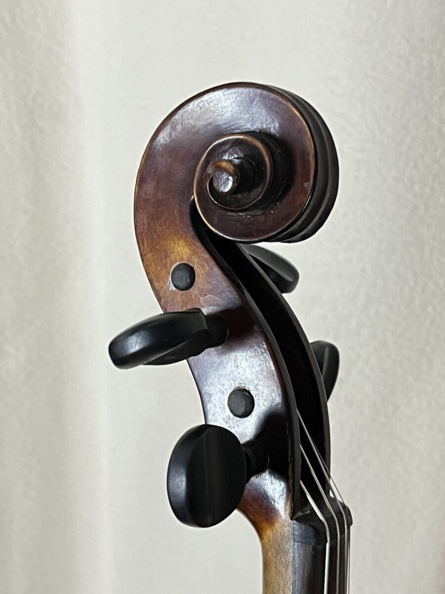 Violin s-4065 scroll