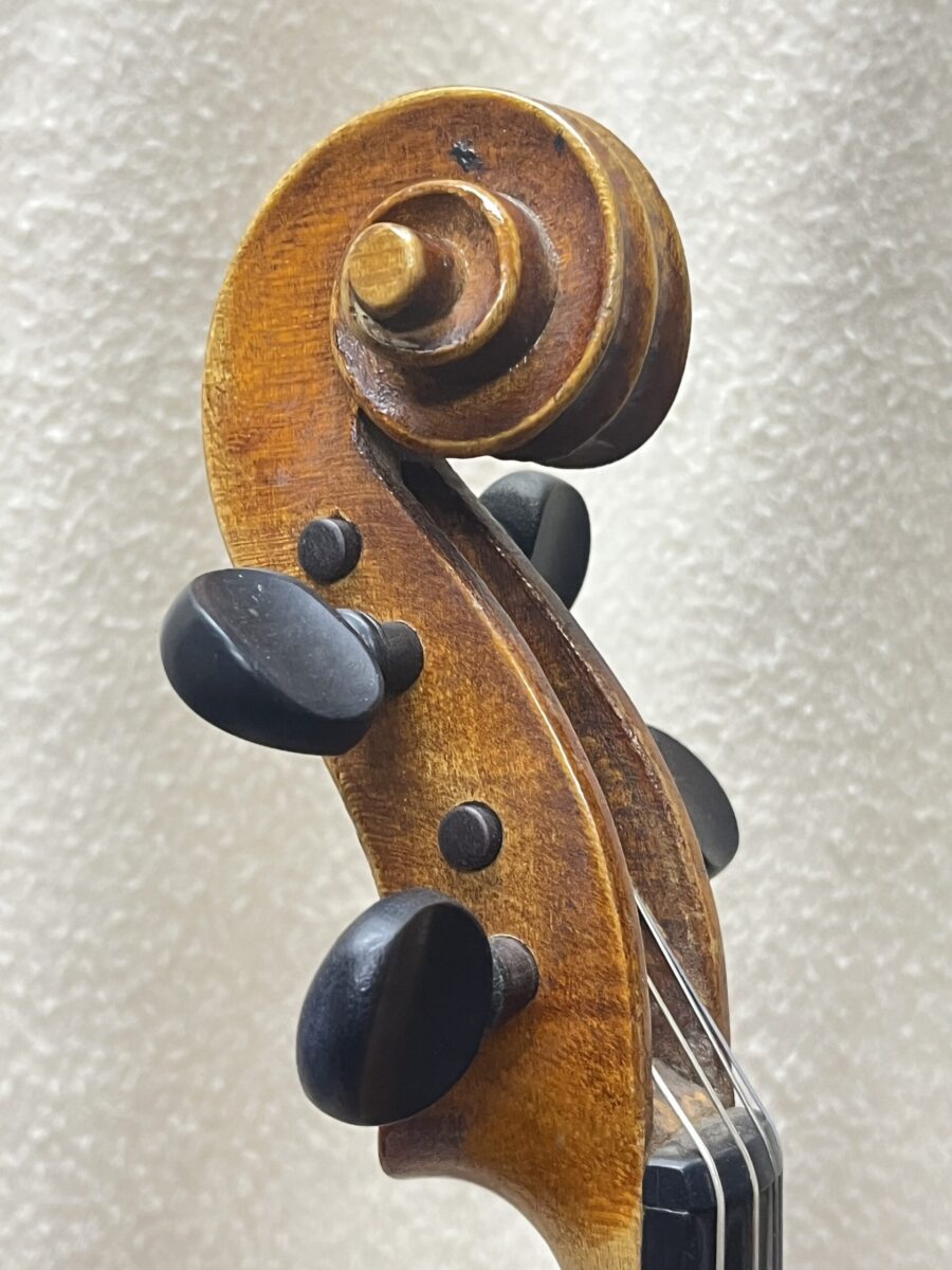 Viola s-1982 scroll