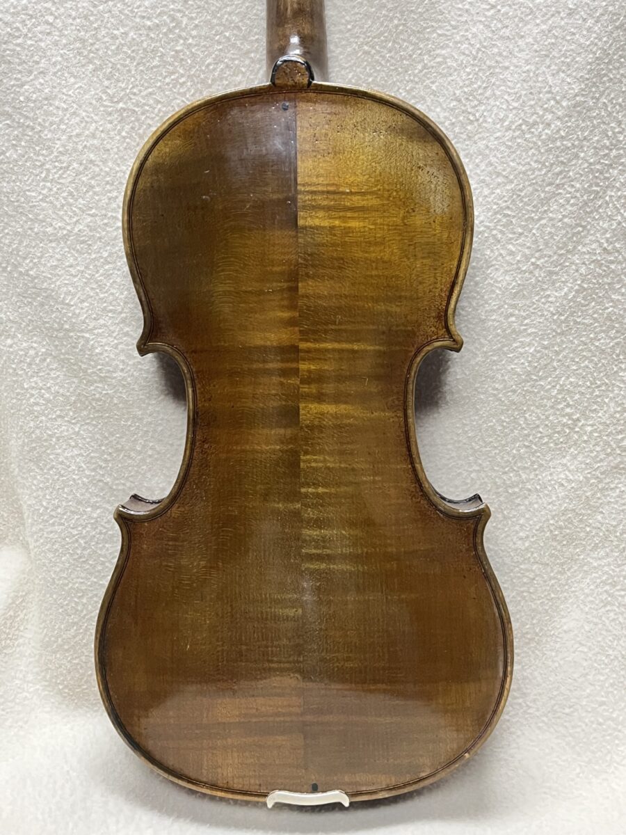 Viola s-3947 back