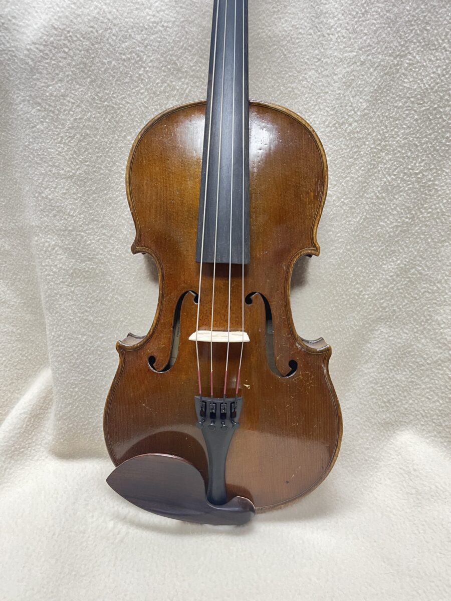 Viola s- 3947 close front