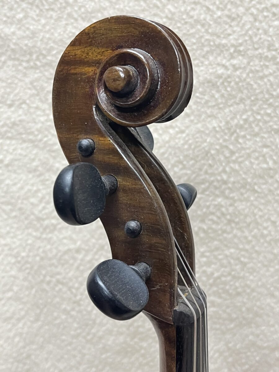 Viola s-3947 scroll