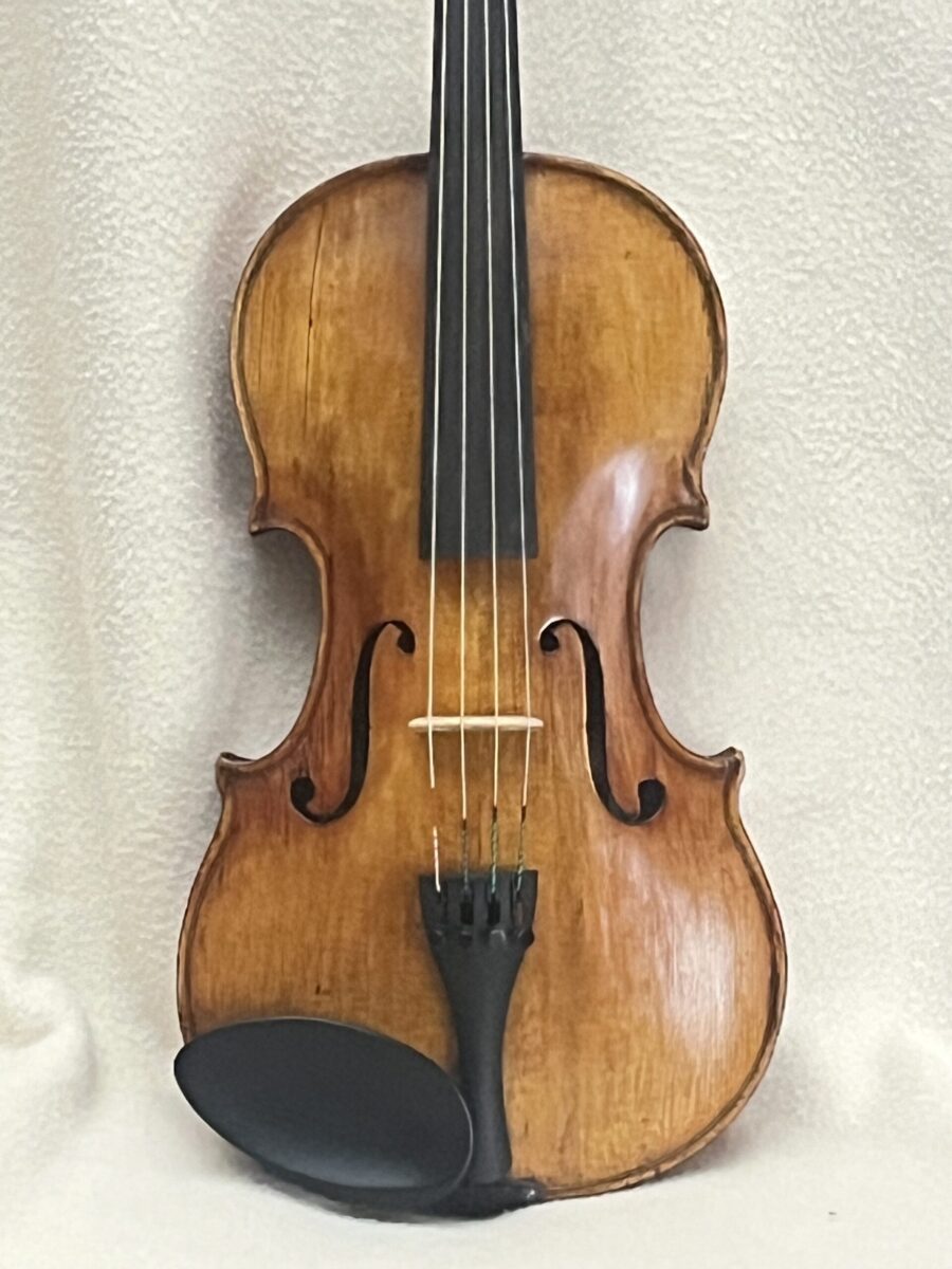 Viola s-3990 14 close front