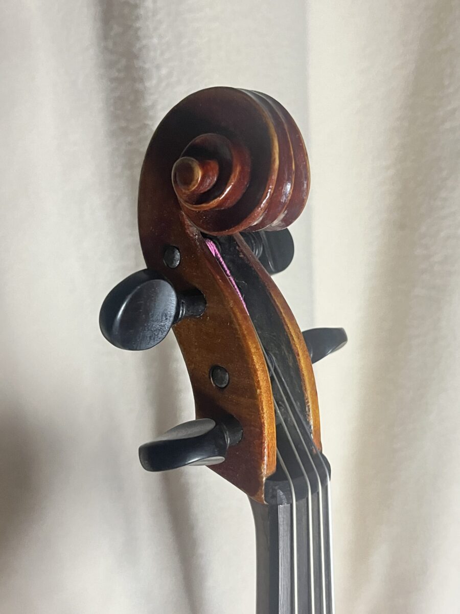 Viola s-3990 14 scroll