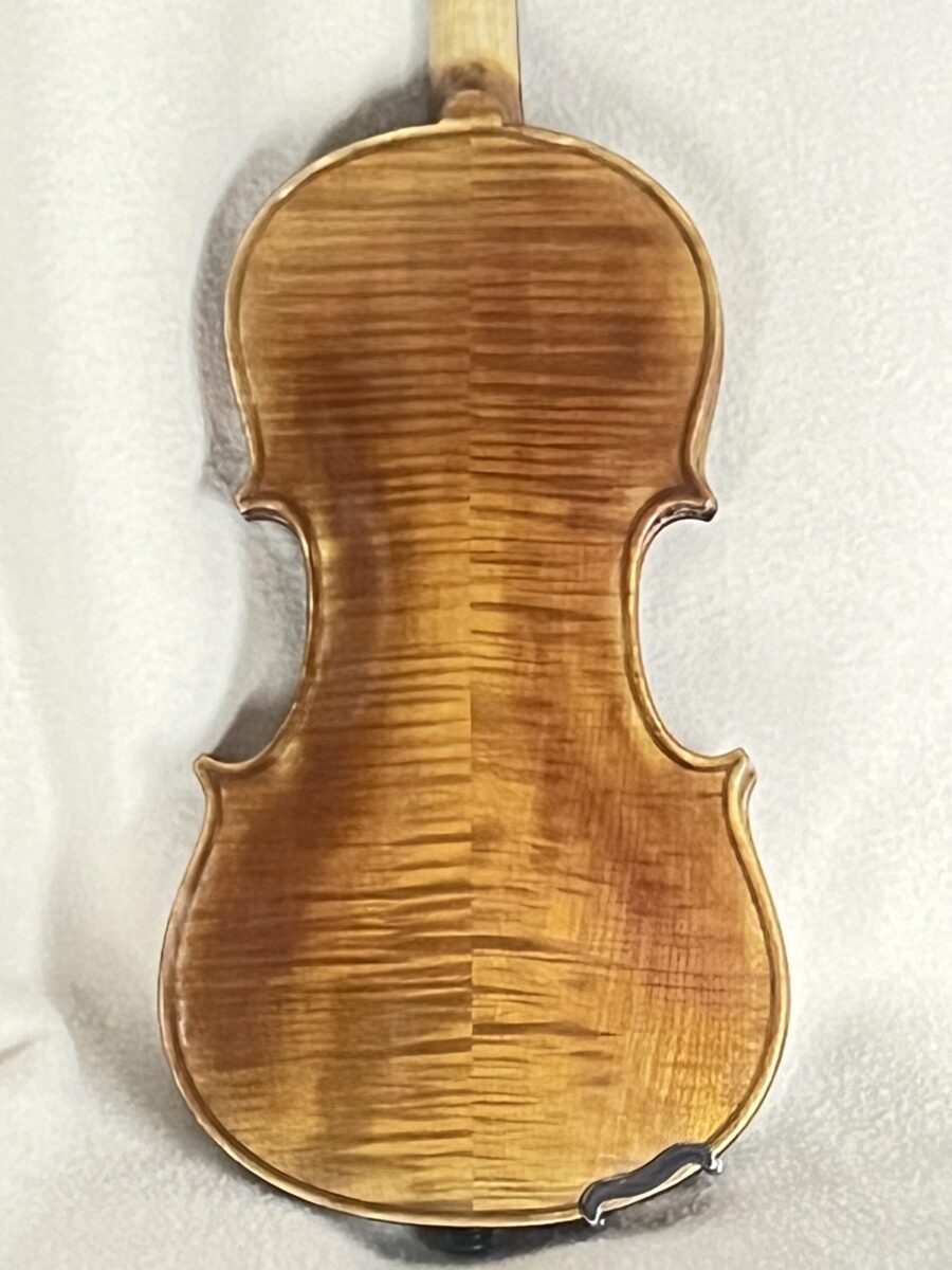 Violin s-4171 back