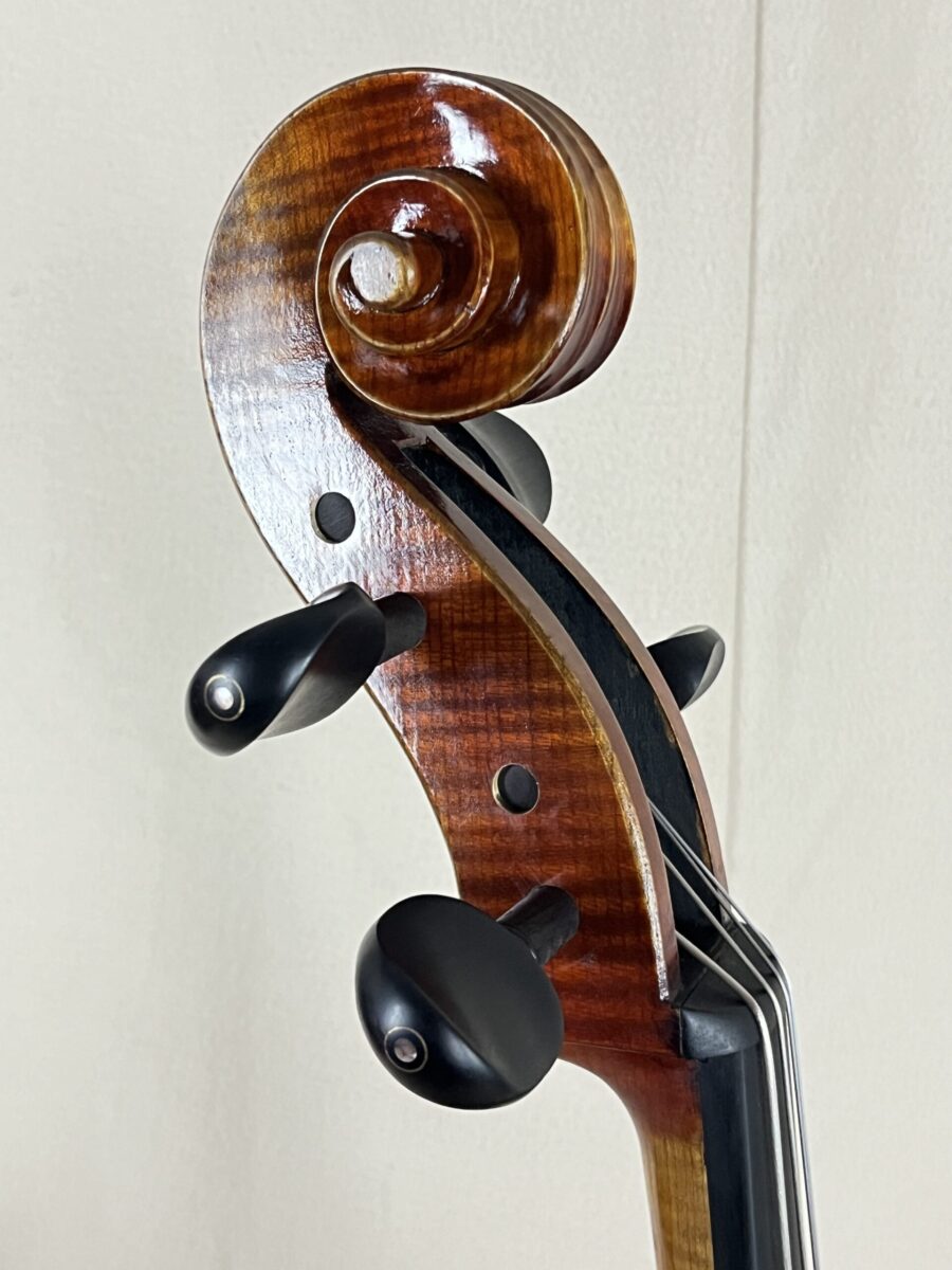 Cello s-4207 scroll