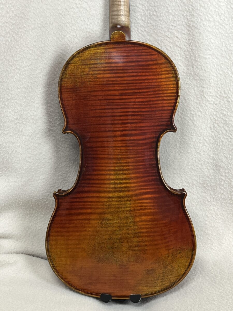 Violin s- 4195 back