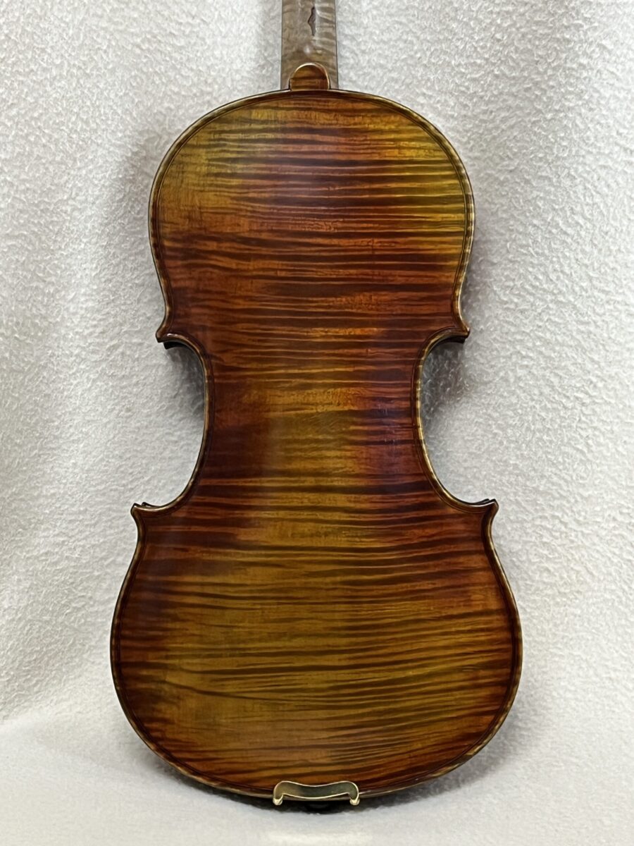 Violin s-4203 back