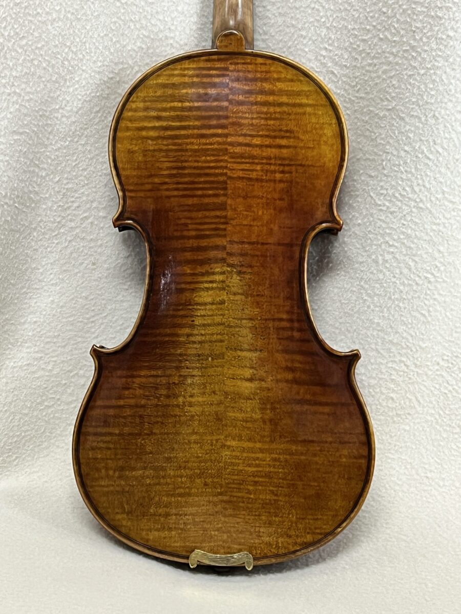 Violin s-4204 back