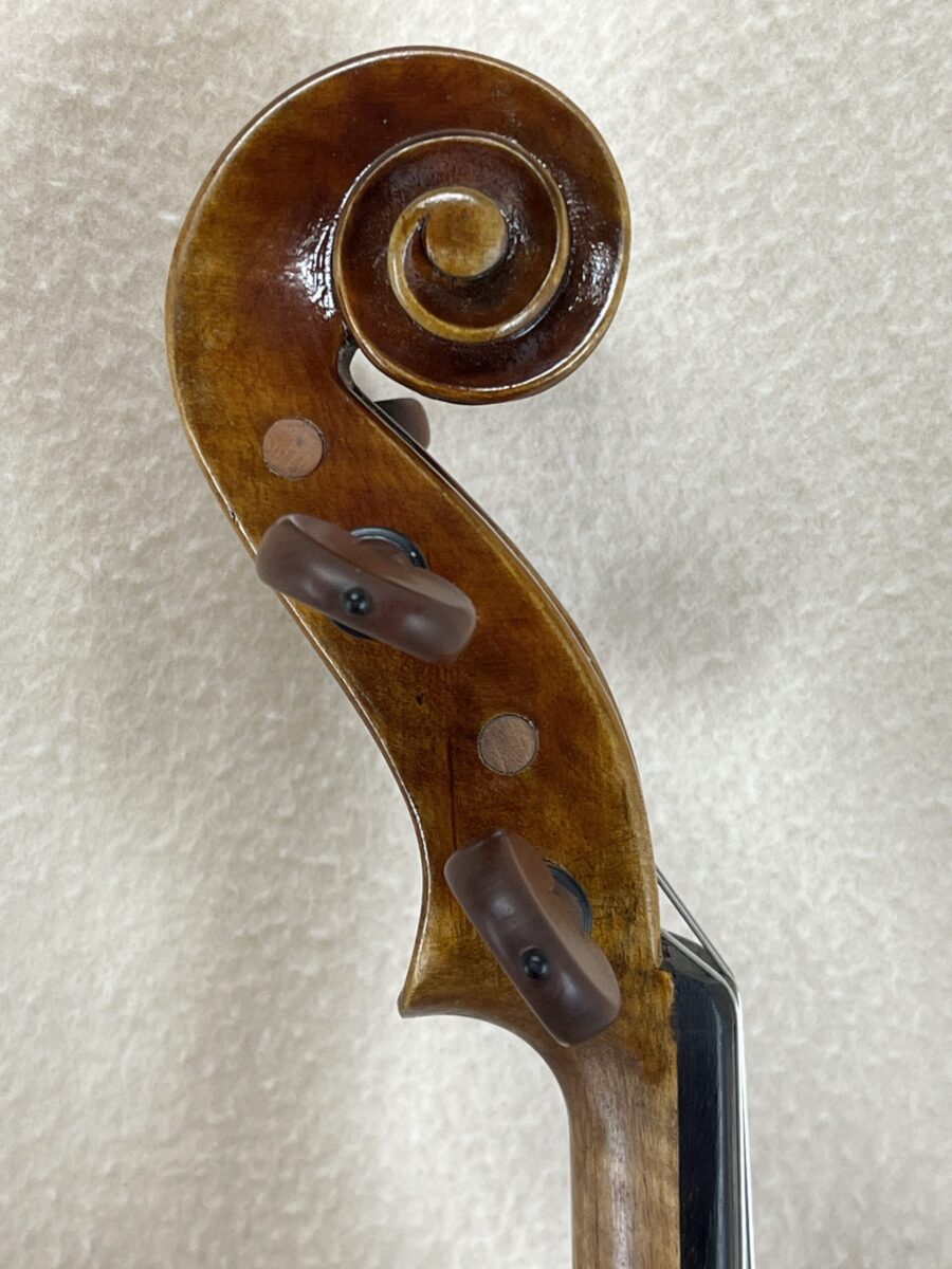 Violin s-4204 scroll