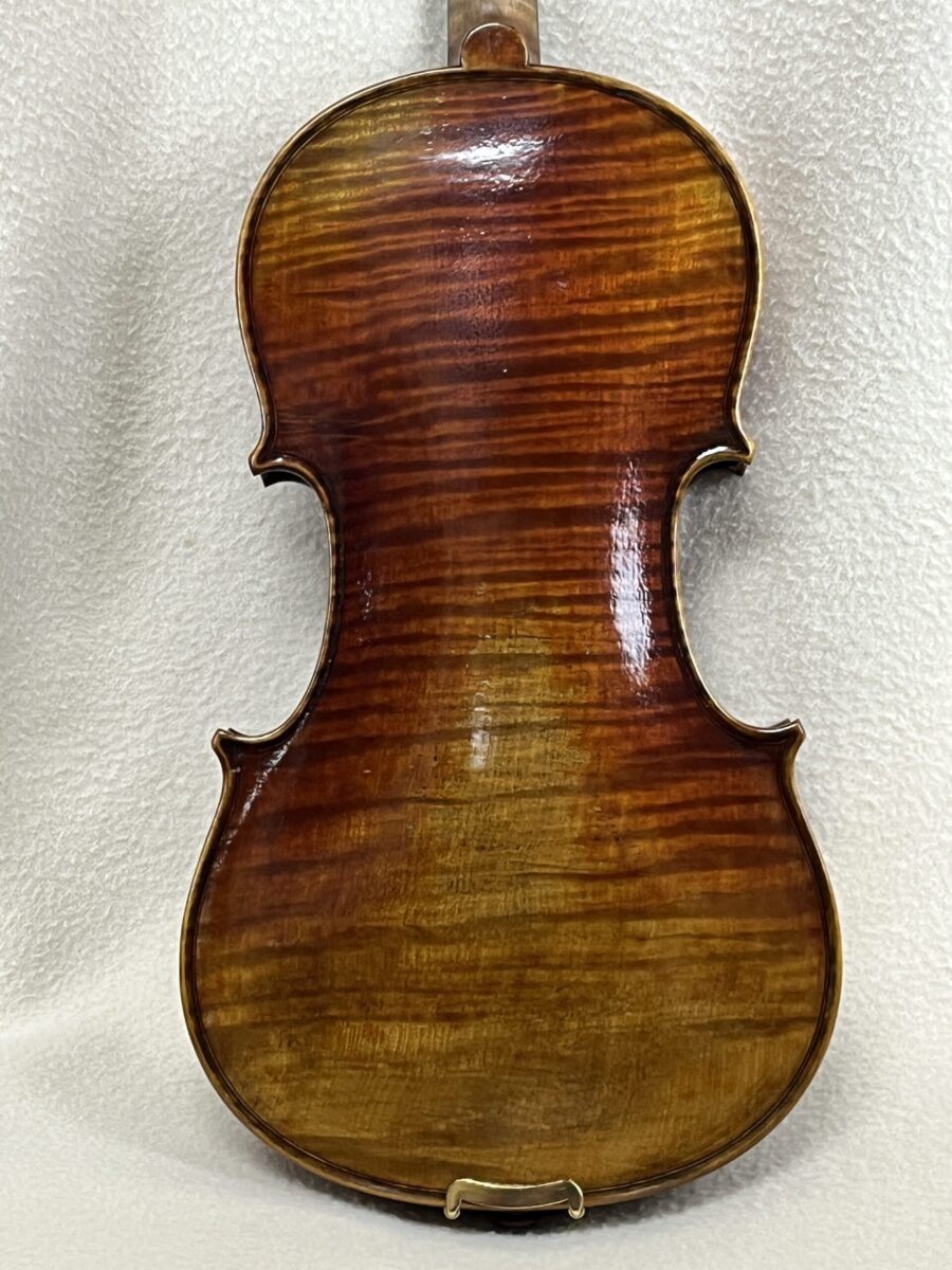 Violin s-4205 back