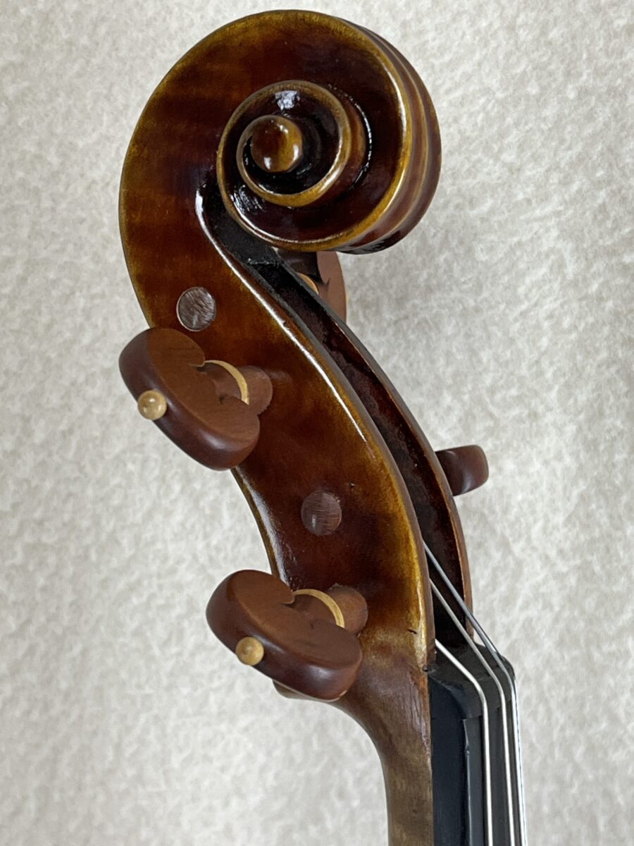 Violin s-4205 scroll