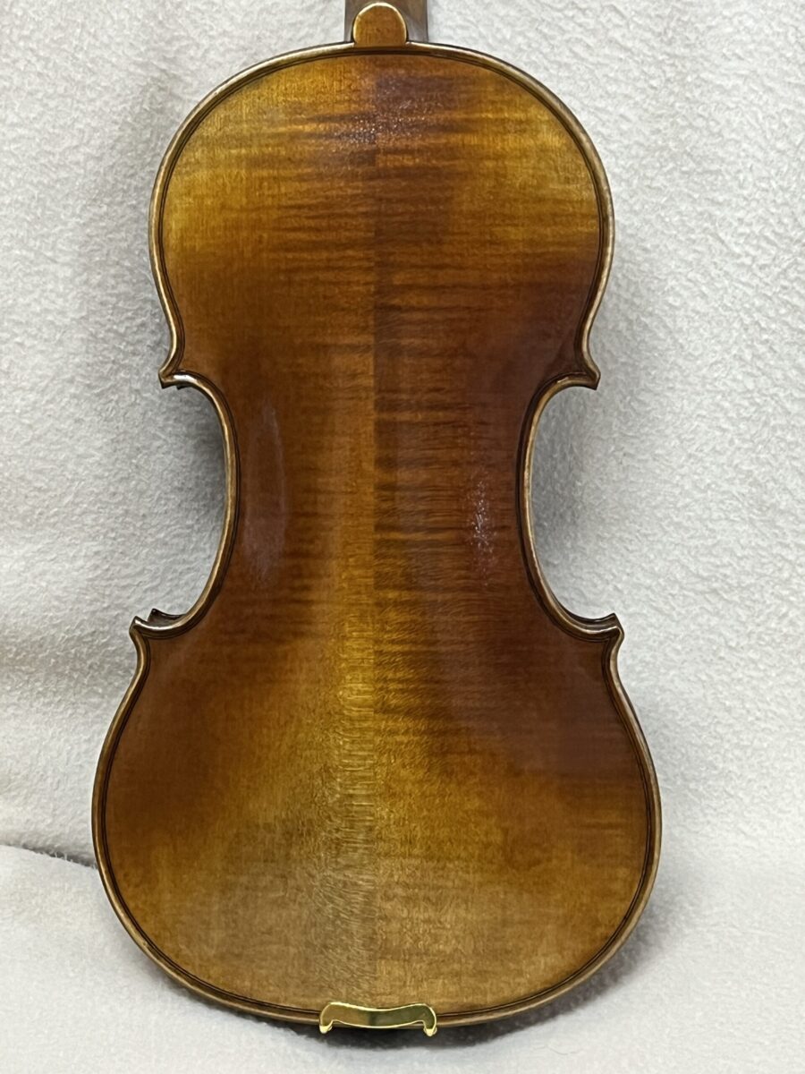 Violin s -4206 back