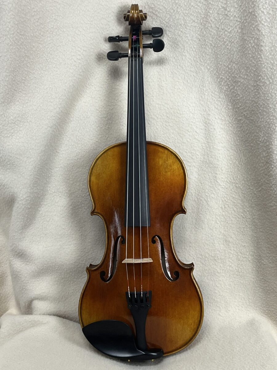 Violin s-4206 full front