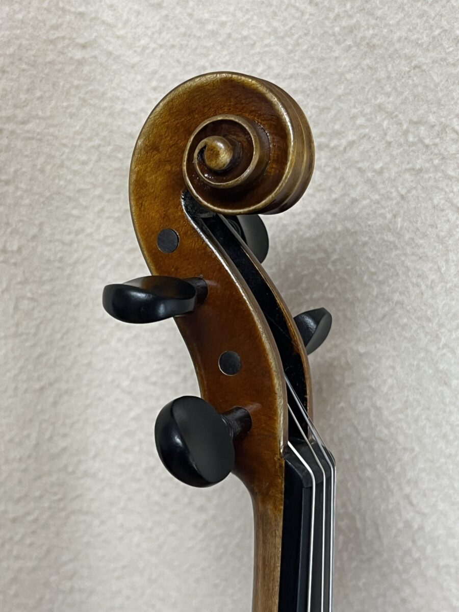 Violin s-4206 scroll