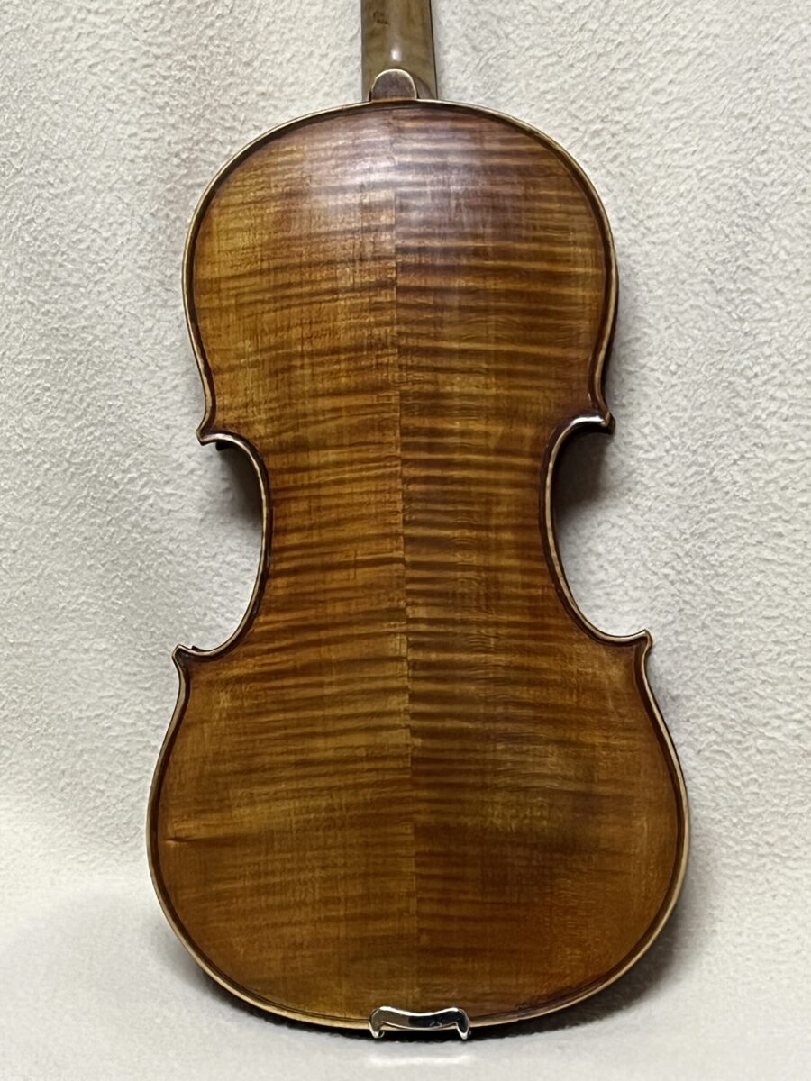 Viola s-4118 back