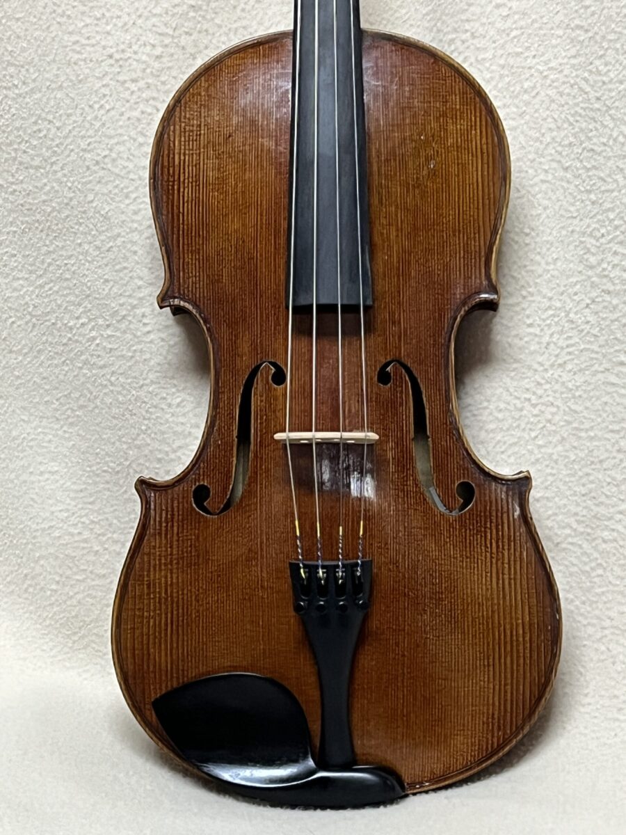 Viola s-4118 close front