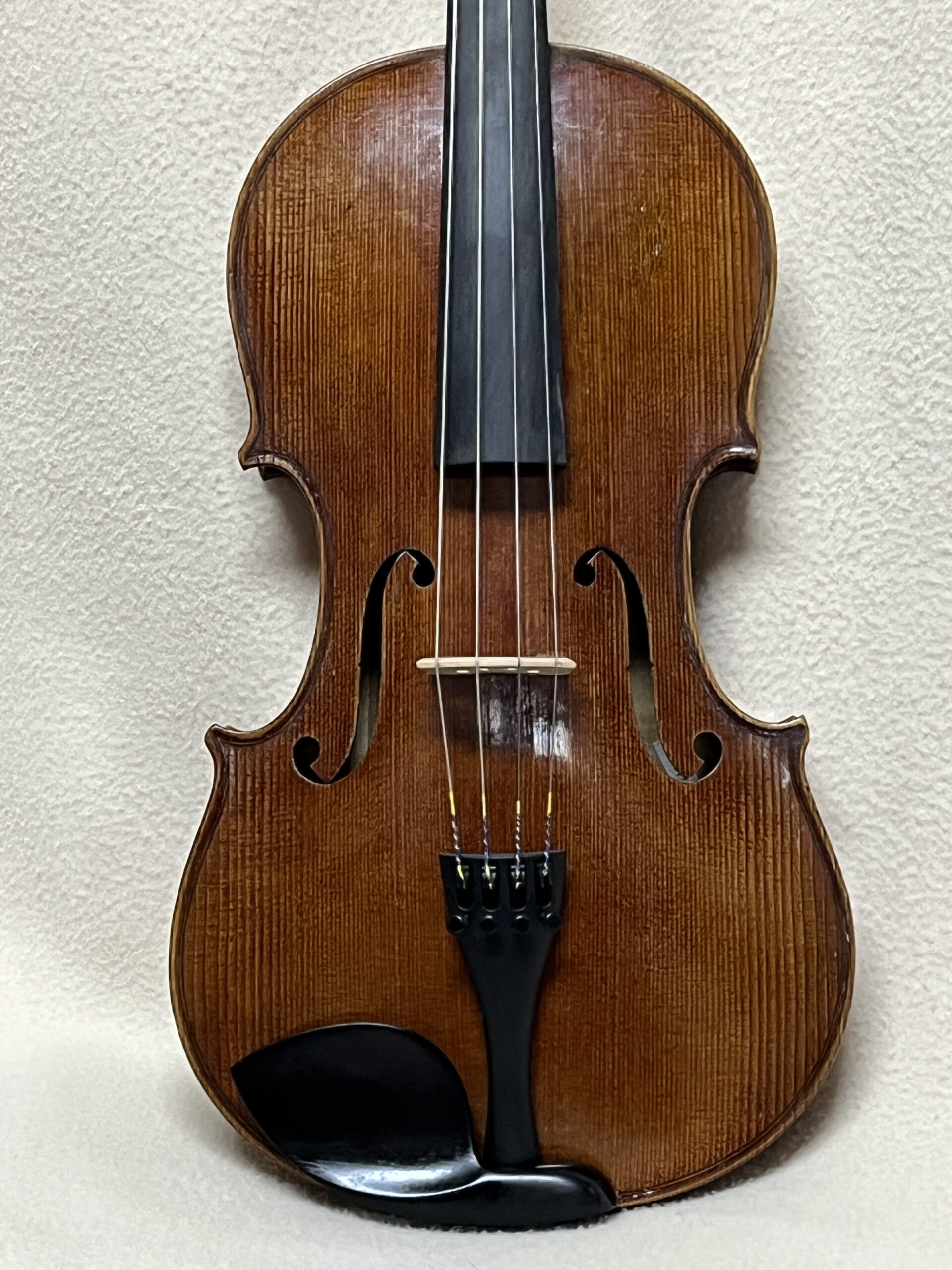 15 3/4″ Viola s-4118