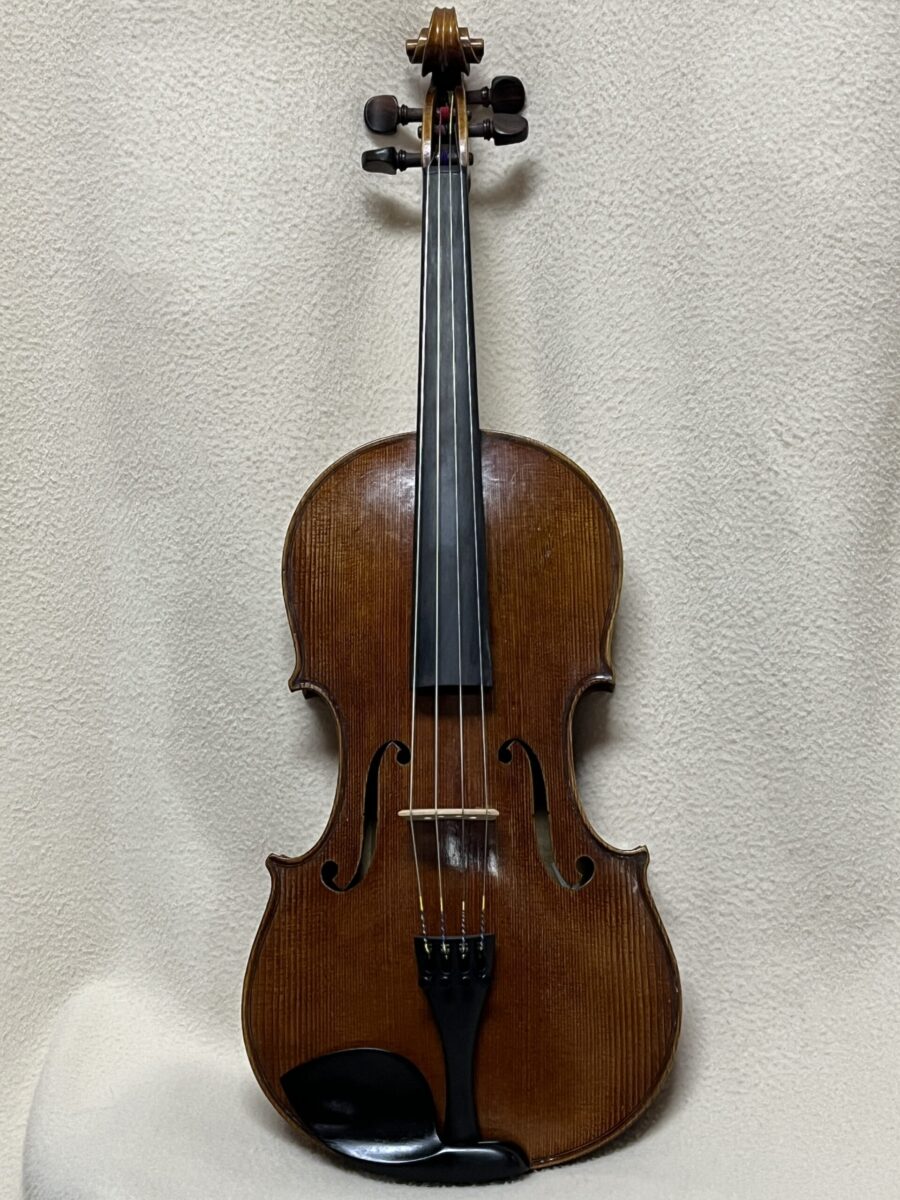 Viola s-4118 front